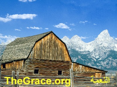  The Grace Magazine issue    39