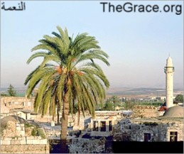 view from TheGrace website     