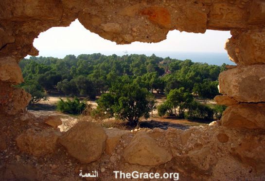 view from TheGrace website     