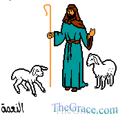 sheepherder